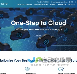 Leading Global Network Service Provider | CypressTel