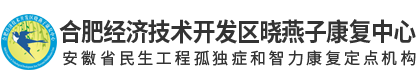 合肥晓燕子康复训练中心_自闭症干预_语言发育迟缓矫正机构